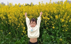 蜜芽tv跳转接口点击进入网站100